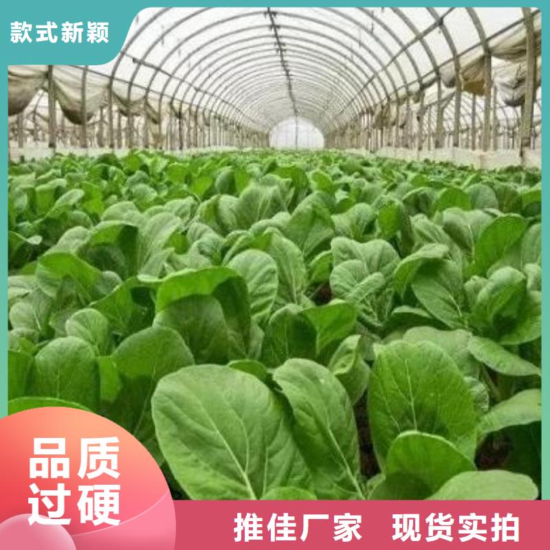 颗粒有机肥常年供货