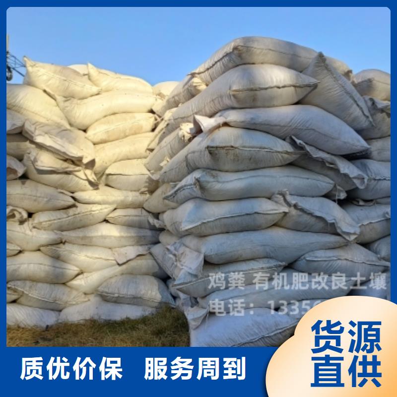 儋州市稻壳鸡粪壮苗
