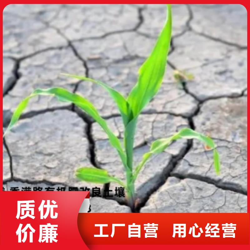发酵鸡粪肥效持久