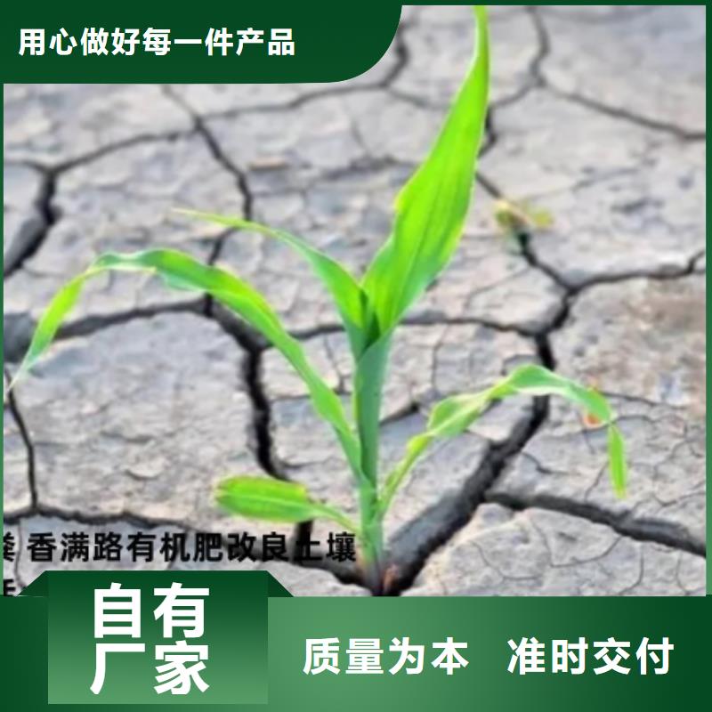 发酵鸡粪提高产量