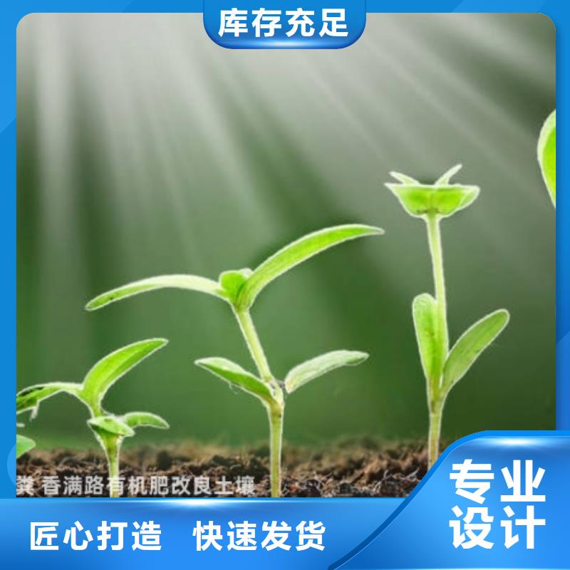 干鸡粪块养分高