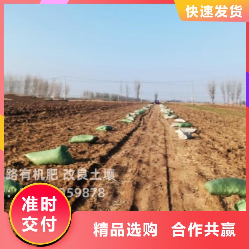 干鸡粪好的有机肥