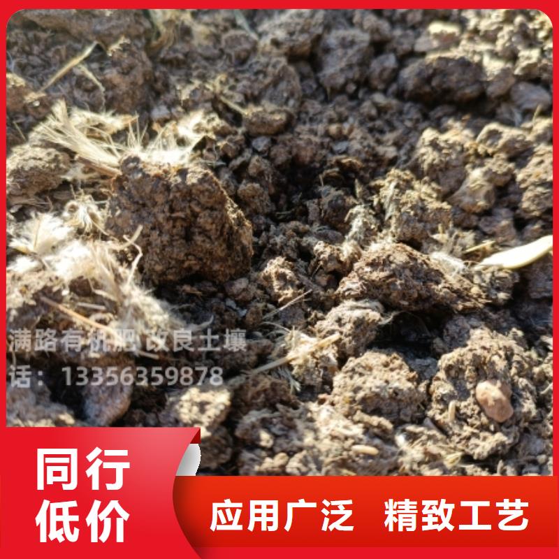 干鸡粪块增肥大姜地土壤