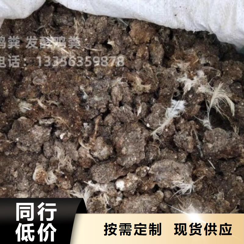 干鸡粪块行情