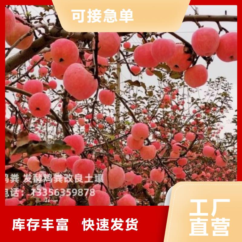 稻壳鸡粪肥效持久