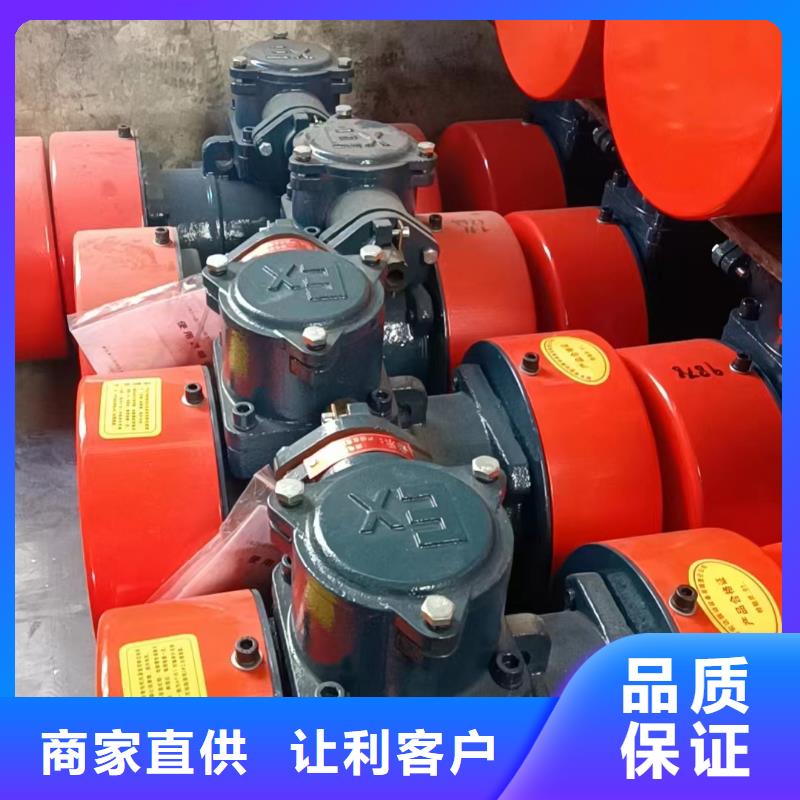 振动电机防爆电机多年行业经验