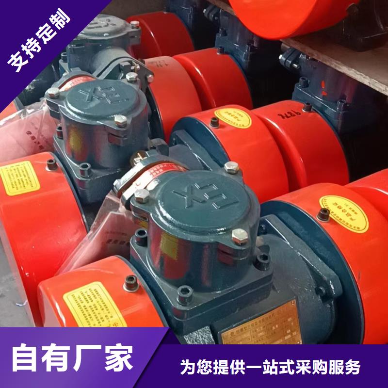 防爆振动电机平板振动器厂家打造行业品质