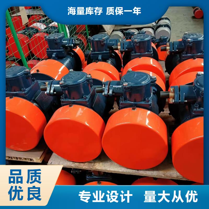 防爆振动电机平板振动器厂家打造行业品质