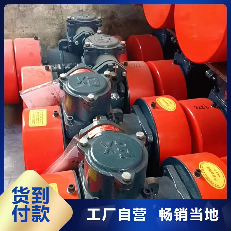 防爆振动电机平板振动器厂家打造行业品质