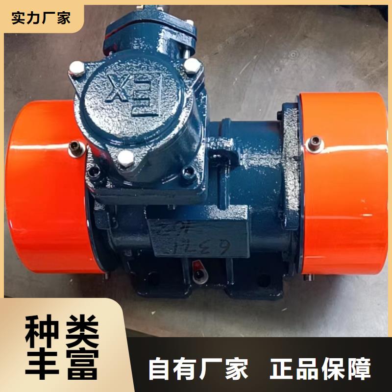防爆振动电机-防爆电机严格把控每一处细节