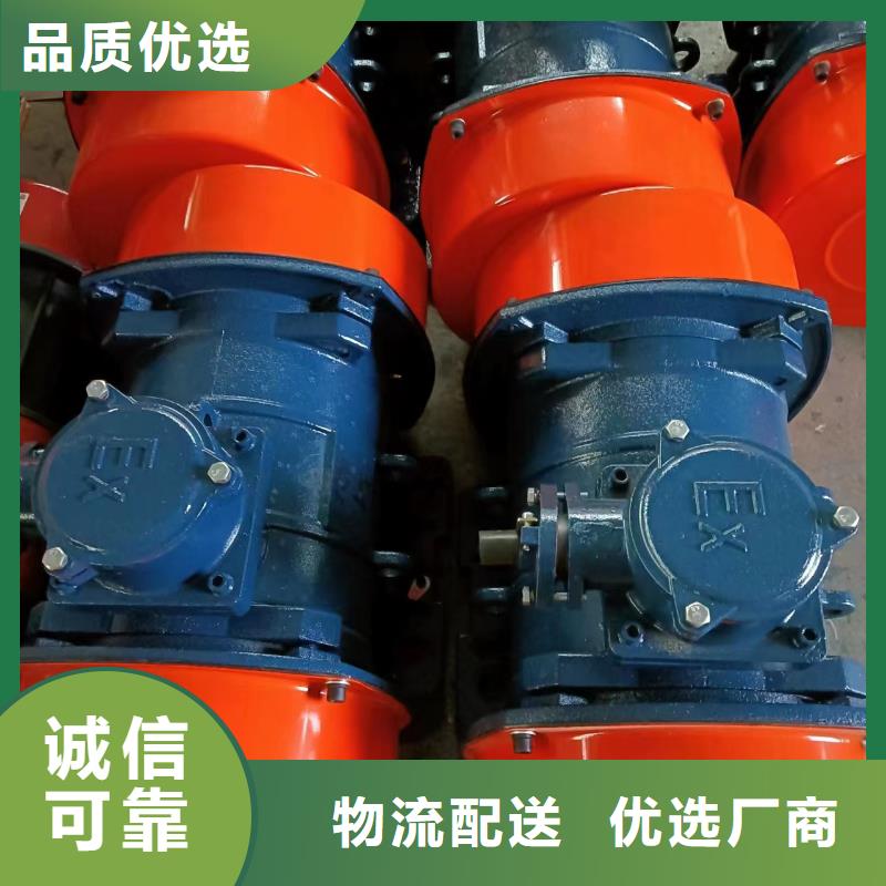 防爆振动电机平板振动器高质量高信誉