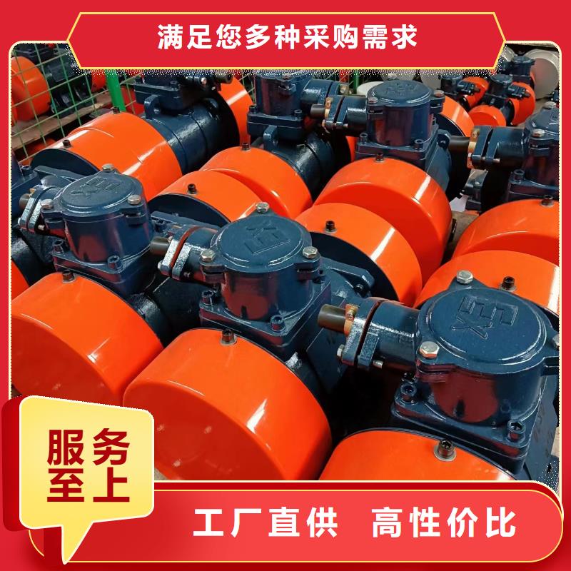 防爆振动电机实力厂家