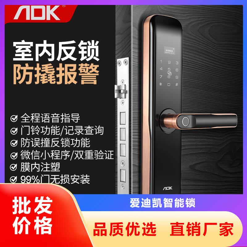 智能锁密码锁品质保障售后无忧