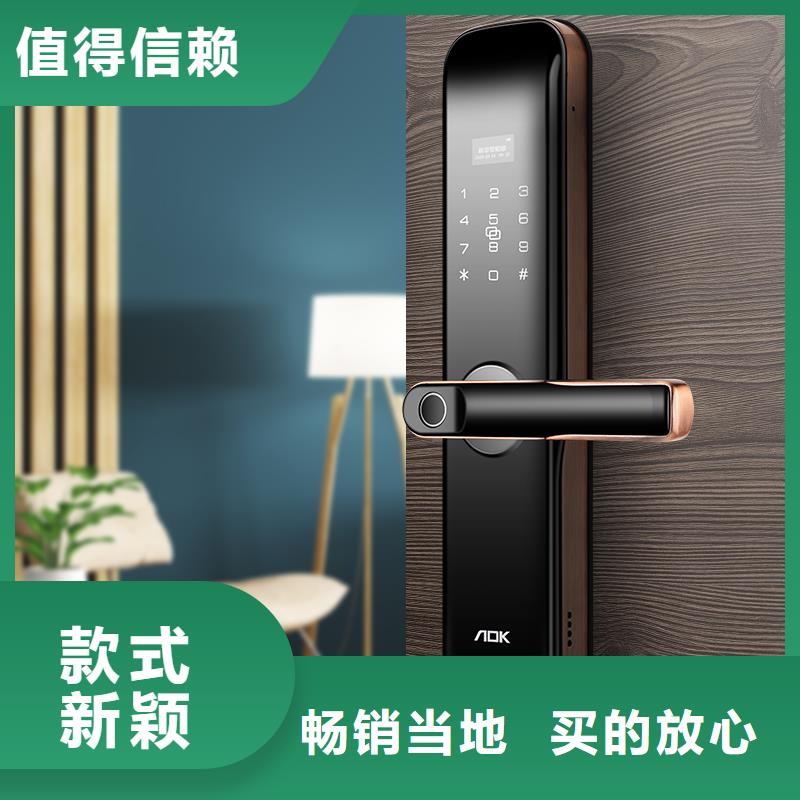 智能锁_指纹锁讲信誉保质量
