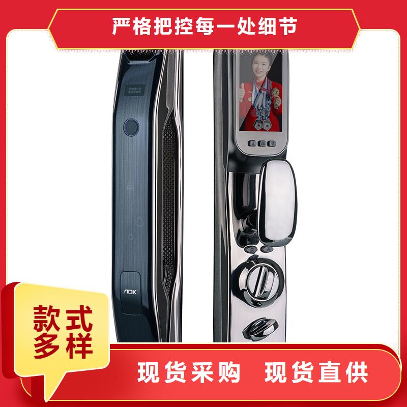 【智能锁_智能锁生产厂家严格把关质量放心】