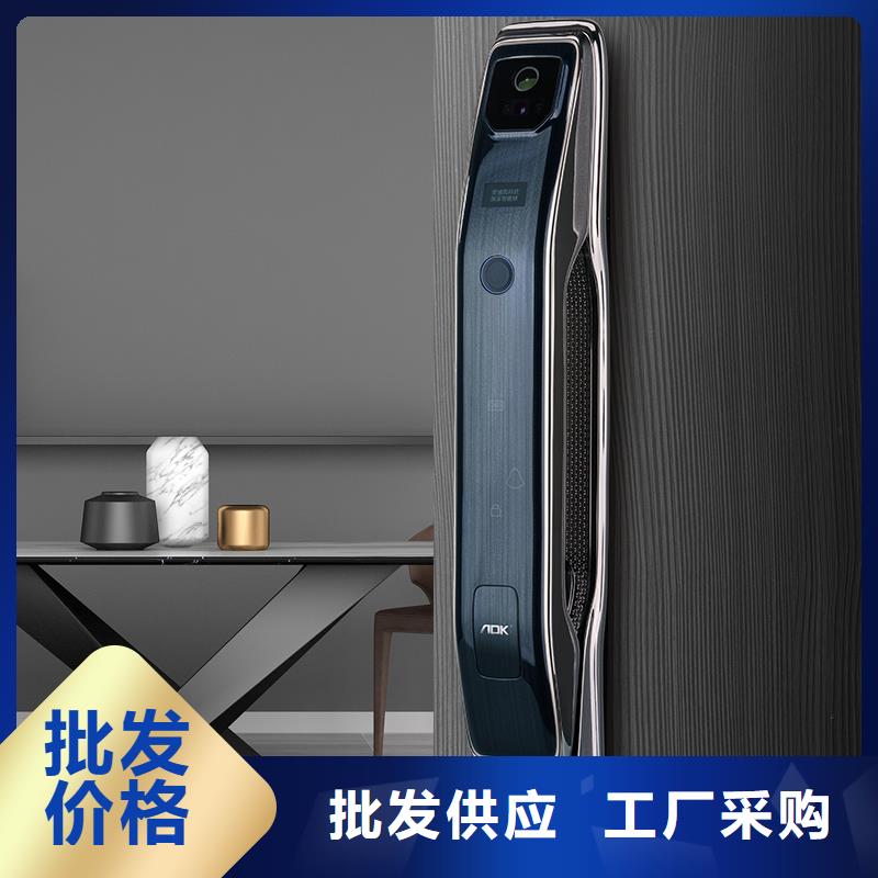 智能锁【人脸识别智能锁】一致好评产品