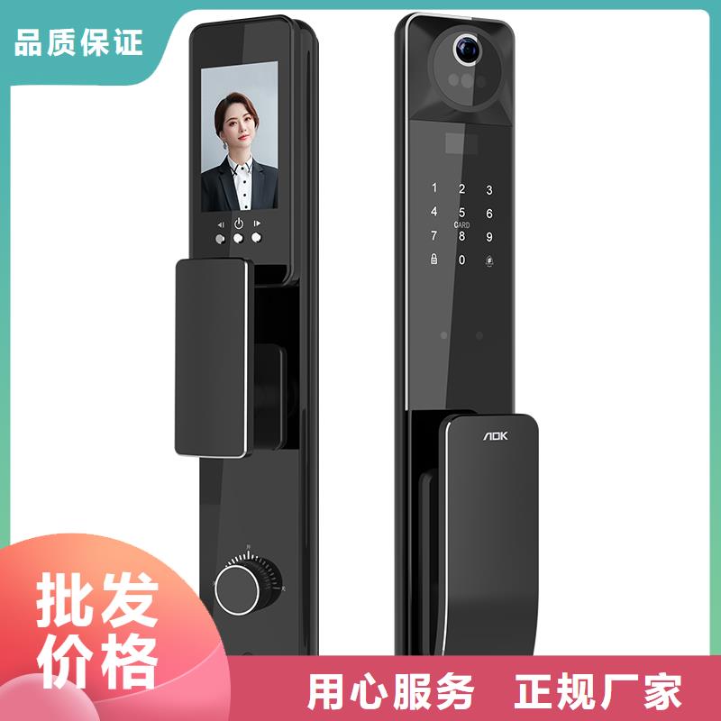 智能锁人脸识别智能锁厂家快捷物流