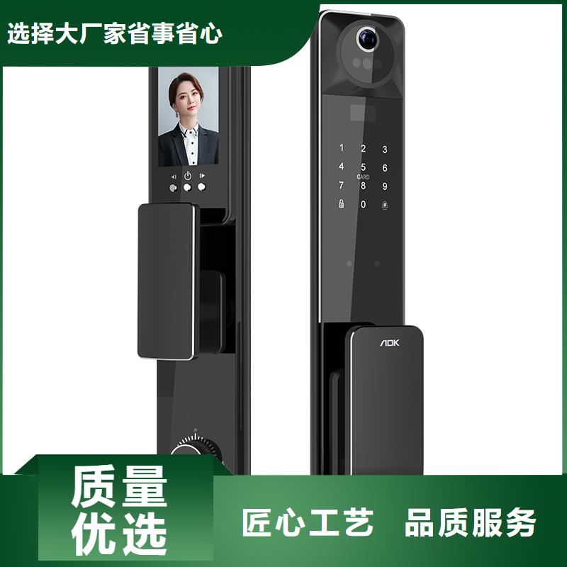智能锁人脸识别智能锁厂家免费安装