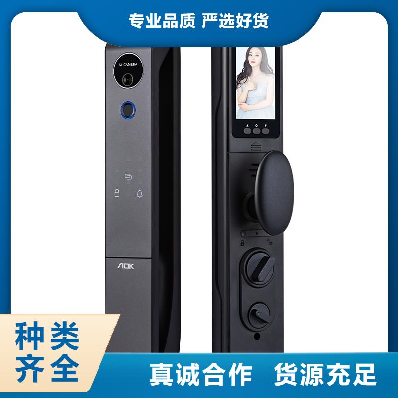 智能锁【人脸识别智能锁】一致好评产品