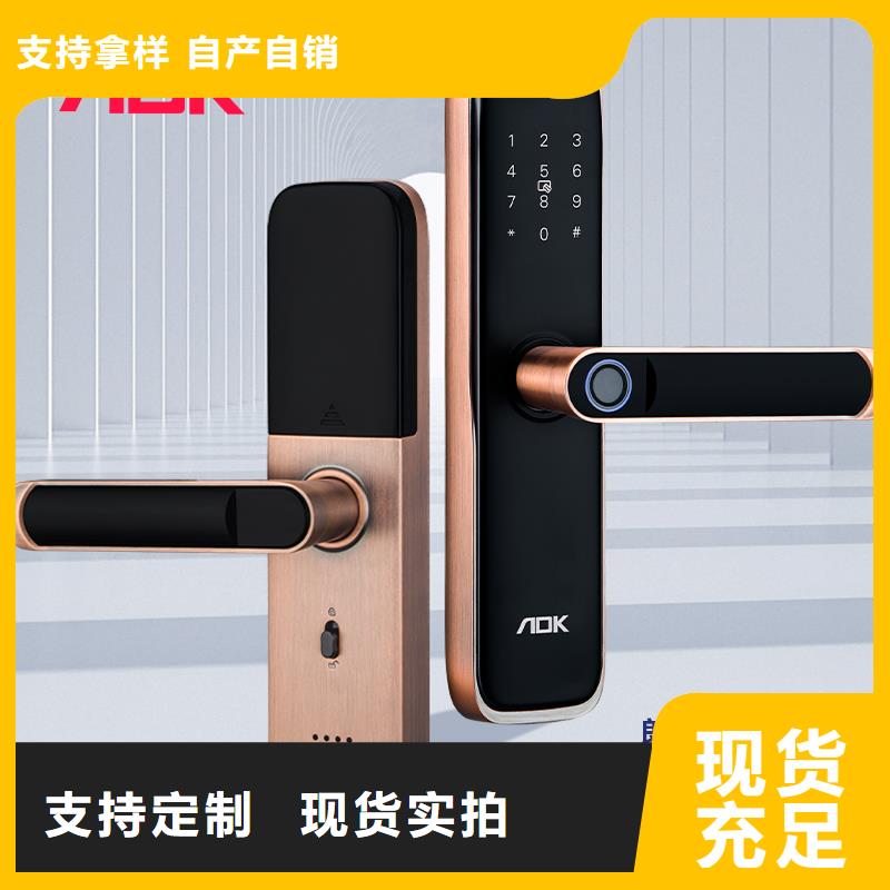 智能锁【人脸识别智能锁】一致好评产品