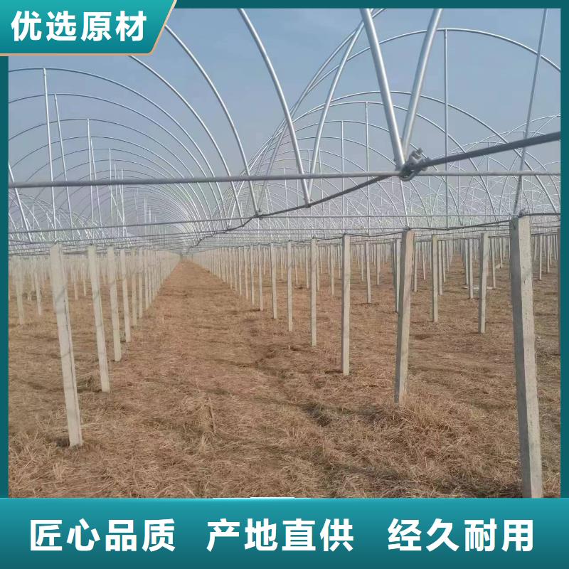 温室大棚【光伏支架】真诚合作