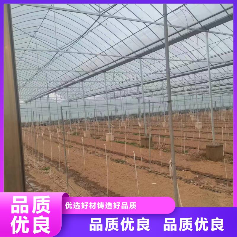 温室大棚,太阳能光伏支架生产厂家重信誉厂家