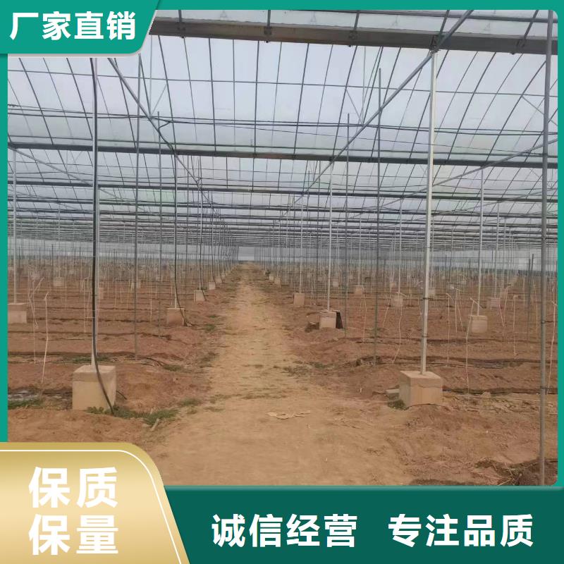 养殖大棚厂家生产