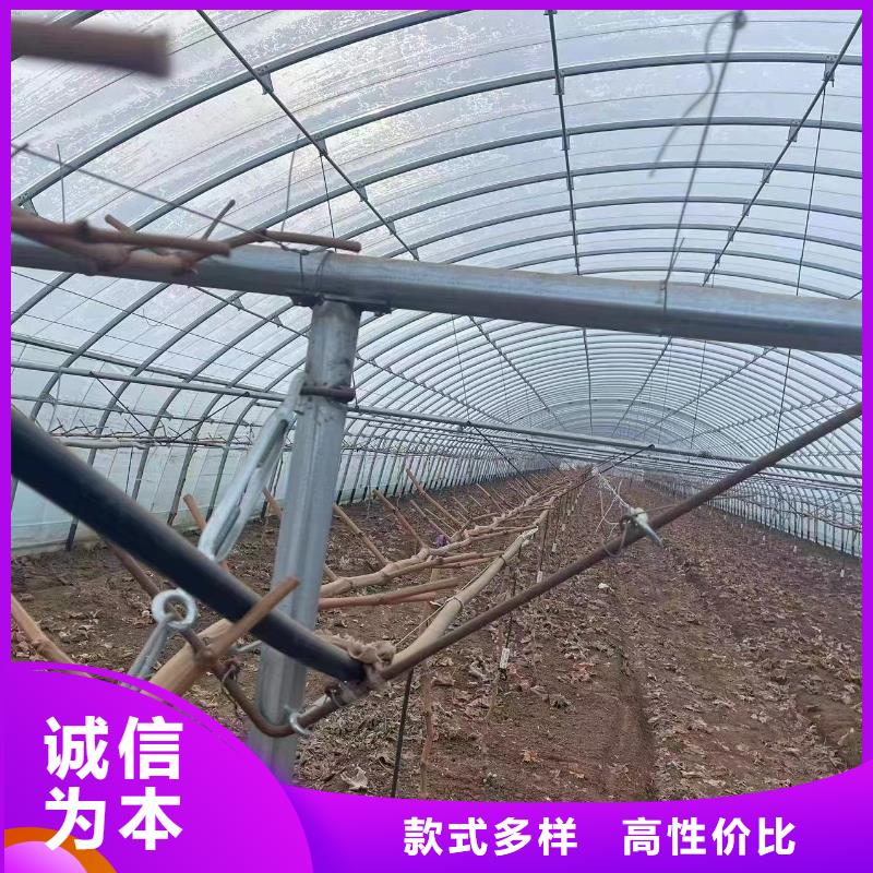 温室大棚温室大棚滴灌设备质检合格发货