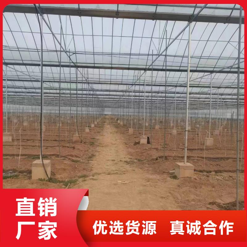 温室大棚温室大棚滴灌设备质检合格发货