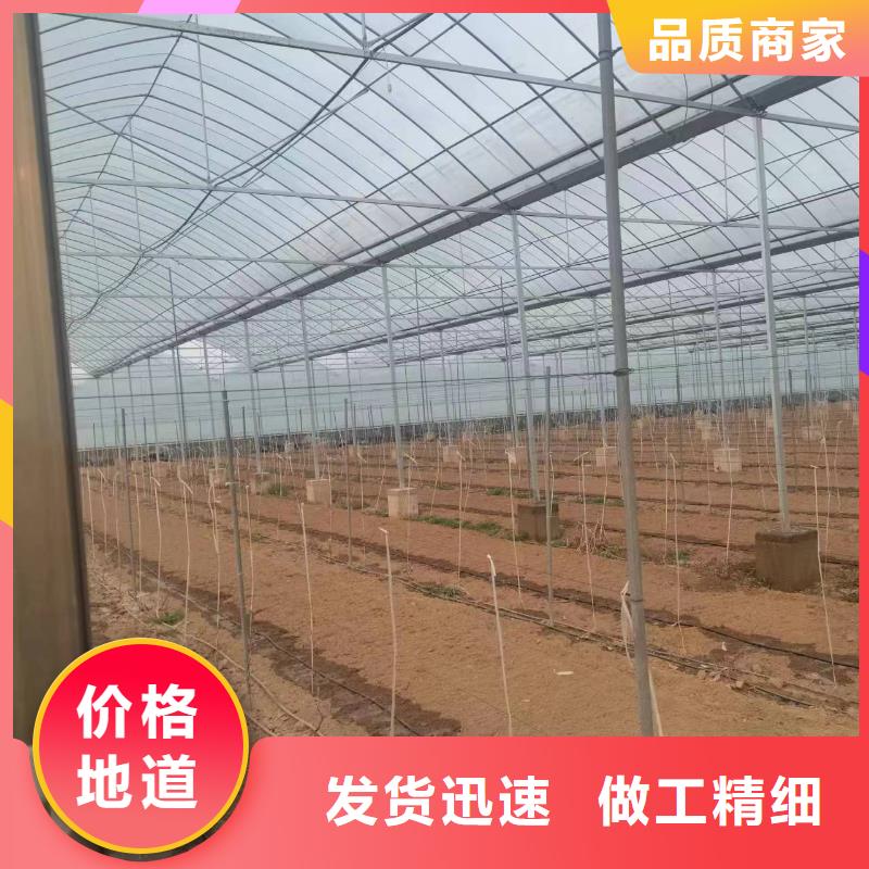 温室大棚,太阳能光伏支架交货准时