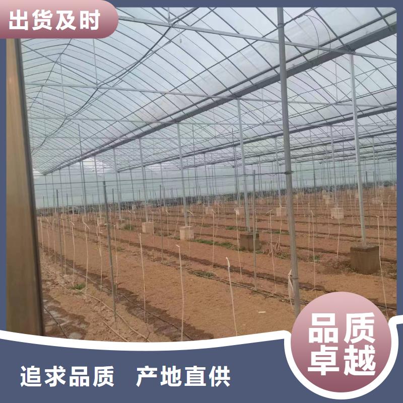 温室大棚温室大棚滴灌设备质检合格发货