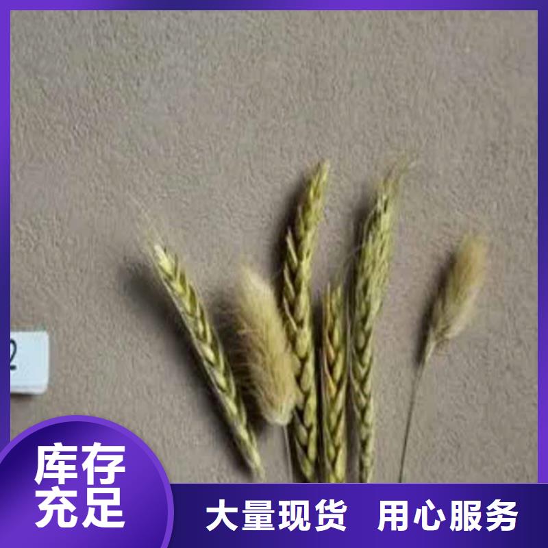 灰泥_雅晶石价格安心购