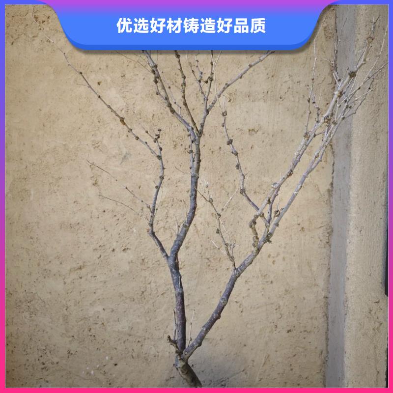 仿夯土稻草泥一公斤多少钱