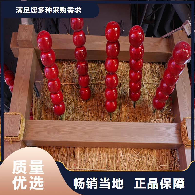 园林建筑木纹漆,内外墙木纹漆,艺术涂料施工厂家