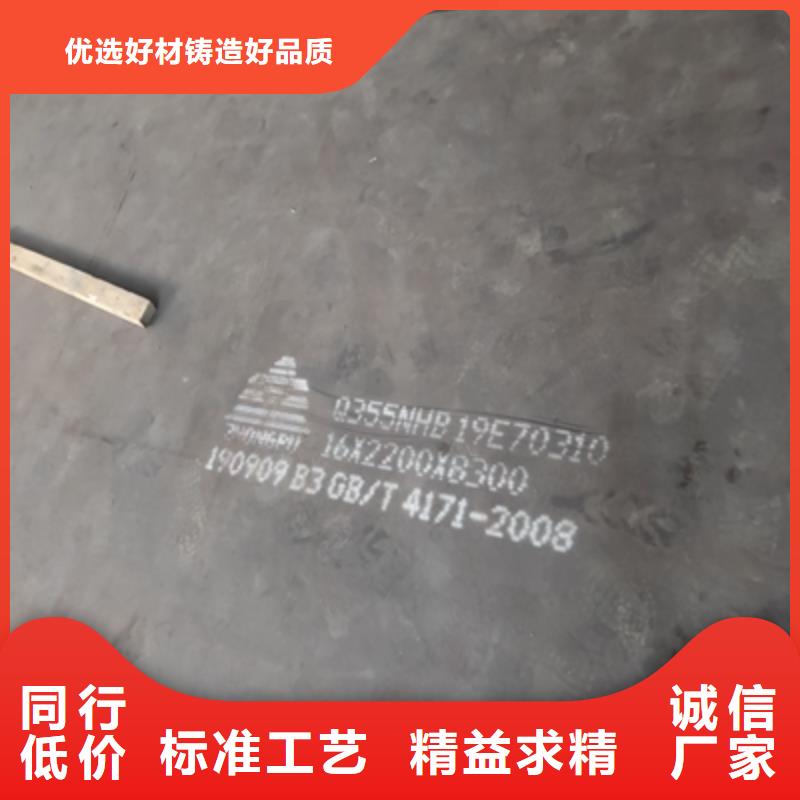 QSTE420TM汽车大梁板-QSTE420TM汽车大梁板到厂参观