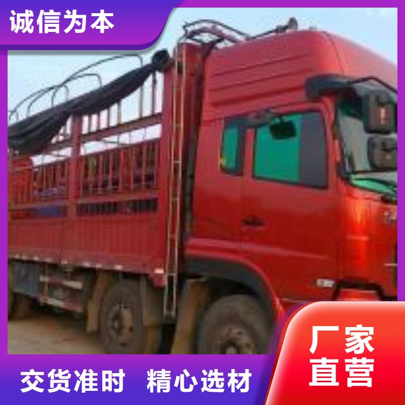 苏州到华尔网物流快运专线视频-苏州到华尔网物流快运专线(驰万通)覆盖地域黑龙江省牡丹江市林口|宁安|绥化|哈尔滨|大庆|佳木斯|齐齐哈尔|黑河|大兴安岭