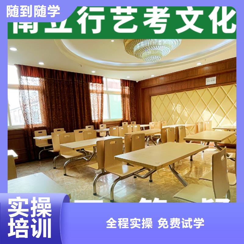 艺考文化课辅导班艺考老师专业