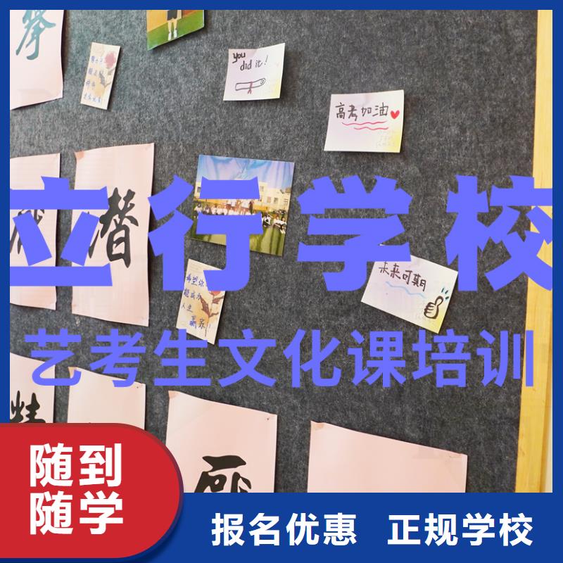 艺考生文化课美术生文化课培训实操教学