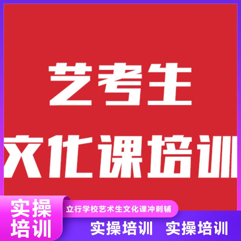 艺考生文化课美术生文化课培训实操教学