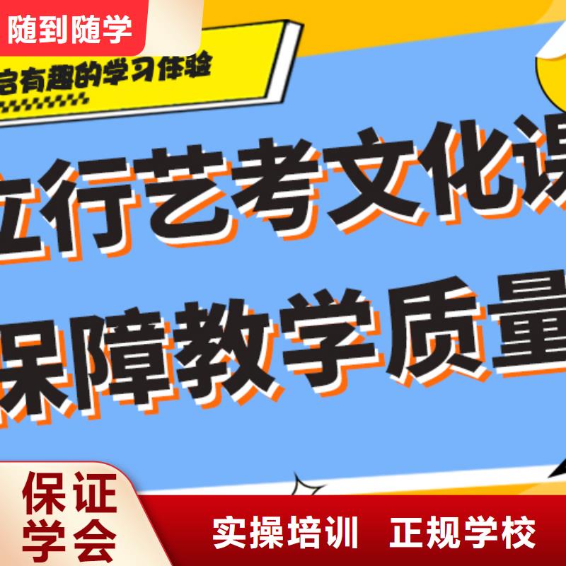 艺考文化课补习高考冲刺补习学真技术