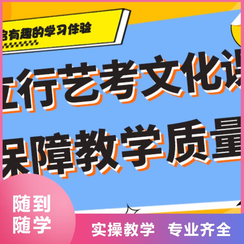 【艺术生文化课】-高考冲刺全年制手把手教学