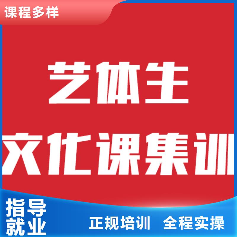 艺考文化课艺考一对一教学就业