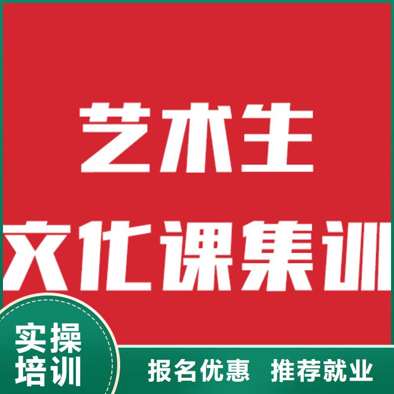 艺考文化课_【舞蹈艺考培训】学真技术