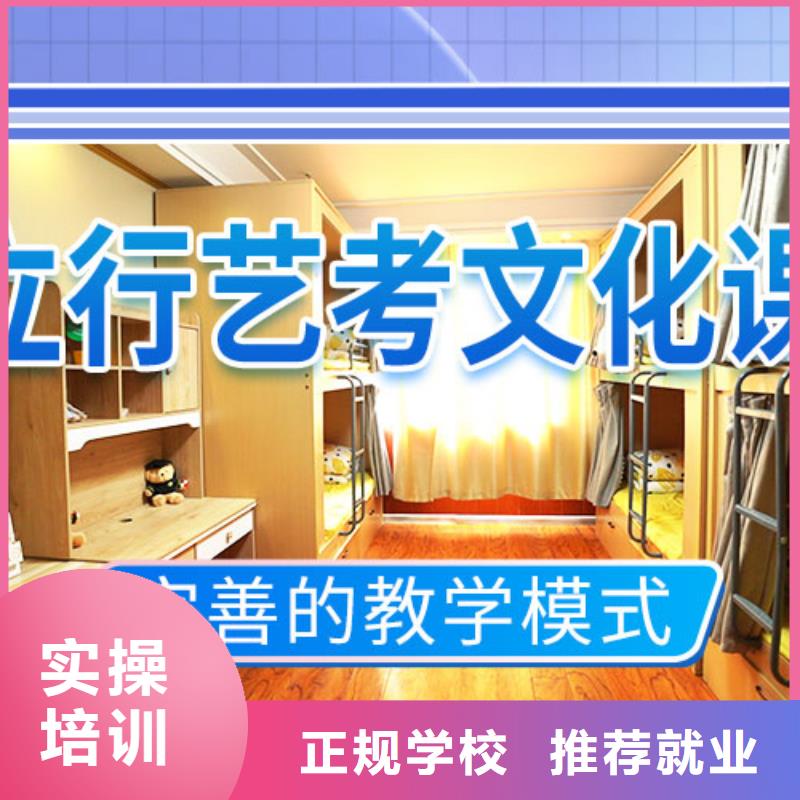 艺考生文化课冲刺哪个学校好
