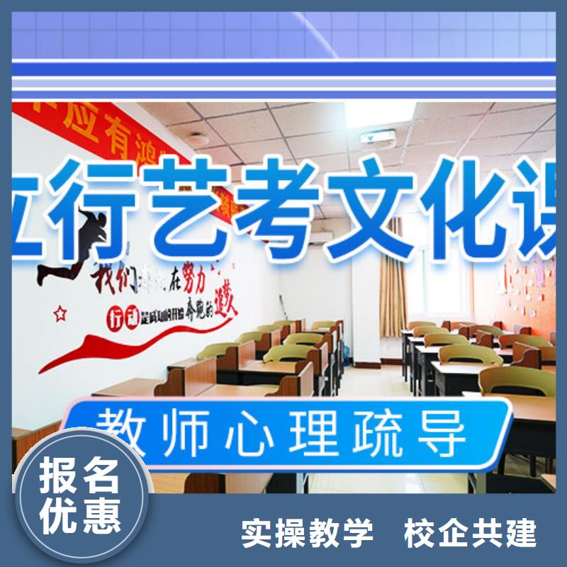 艺考文化课辅导机构一年多少钱