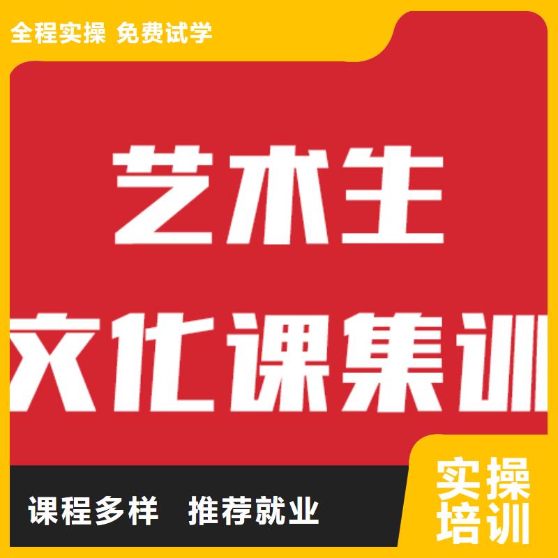艺考生文化课,艺术生文化补习手把手教学