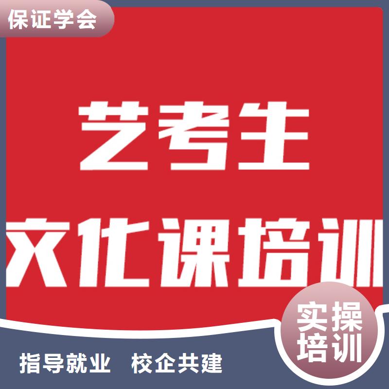 艺考生文化课高三复读班理论+实操