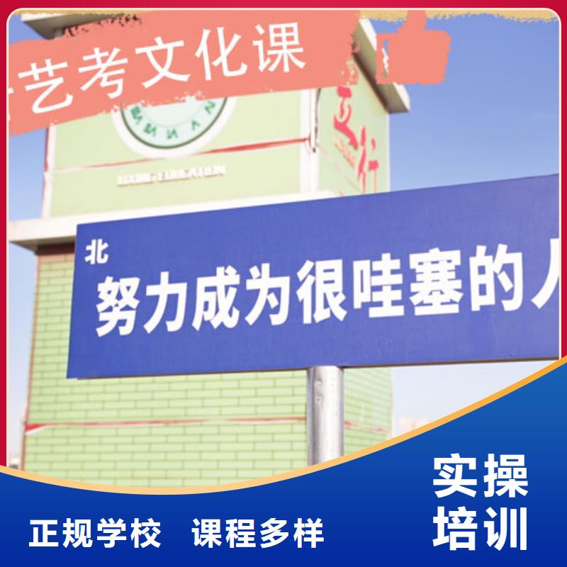 艺考文化课-编导文化课培训理论+实操