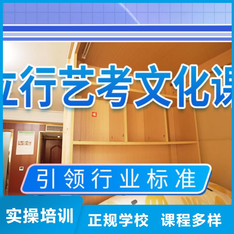 艺考生文化课冲刺-艺考培训课程多样