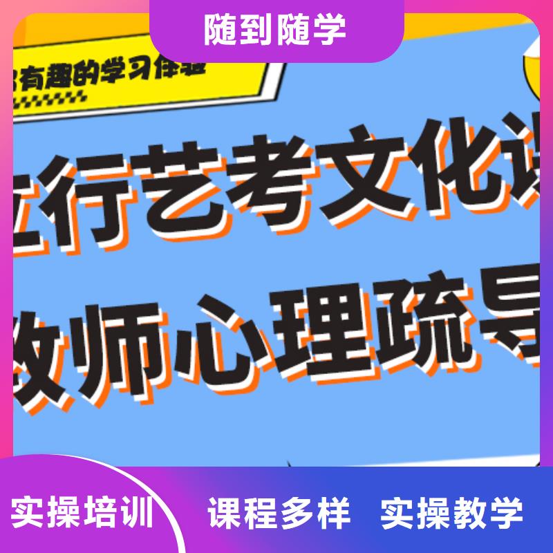 艺考生文化课冲刺【高中一对一辅导】课程多样